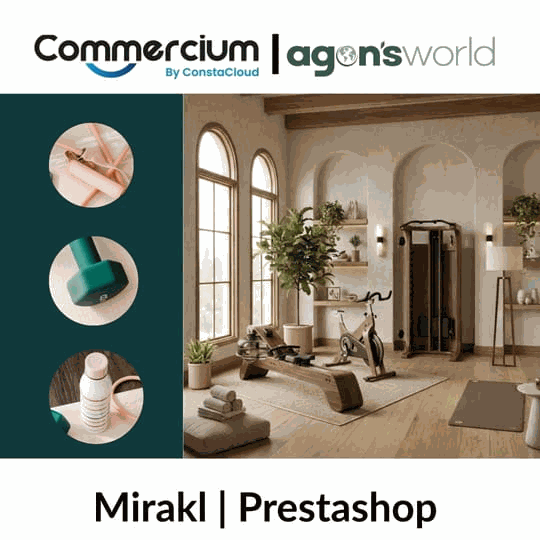 How Agons World Unleashed Multichannel Growth by Connecting Prestashop with Mirakl