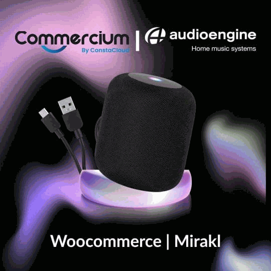 How Audio Engine Unleashed Multichannel Growth by Connecting WooCommerce with Mirakl