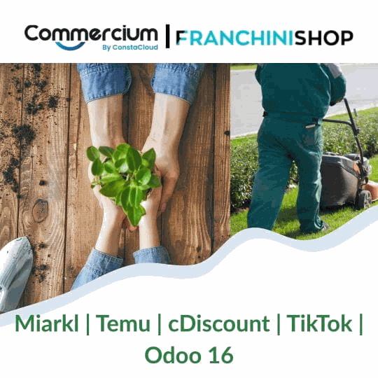 How FranchiniShop Simplified Multichannel Selling by Connecting Odoo 16 with Mirakl, Temu, Cdiscount, and TikTok