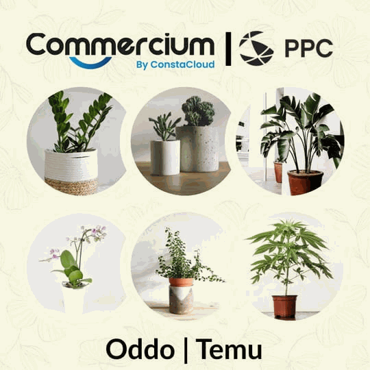 How PPC Unleashed Multichannel Growth by Connecting Shopify with TEMU