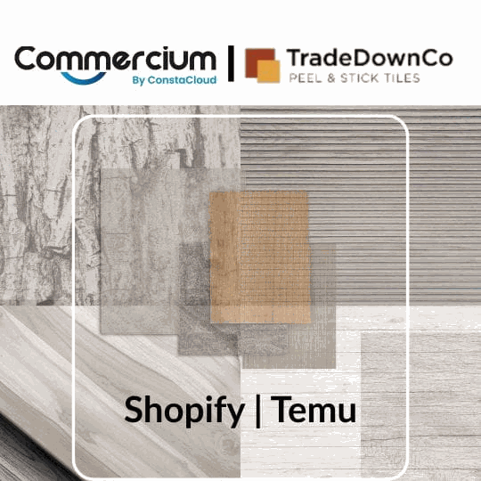 How Trade Down Co Unleashed Multichannel Growth by Connecting Shopify with TEMU